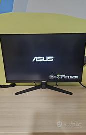 Monitor asus