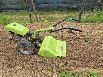 Grillo  10cv benzina