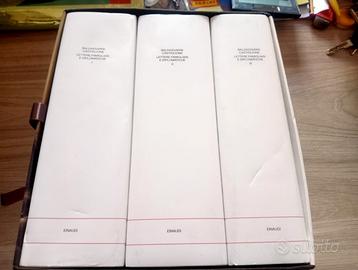 Lettere famigliari e diplomatiche - Einaudi
