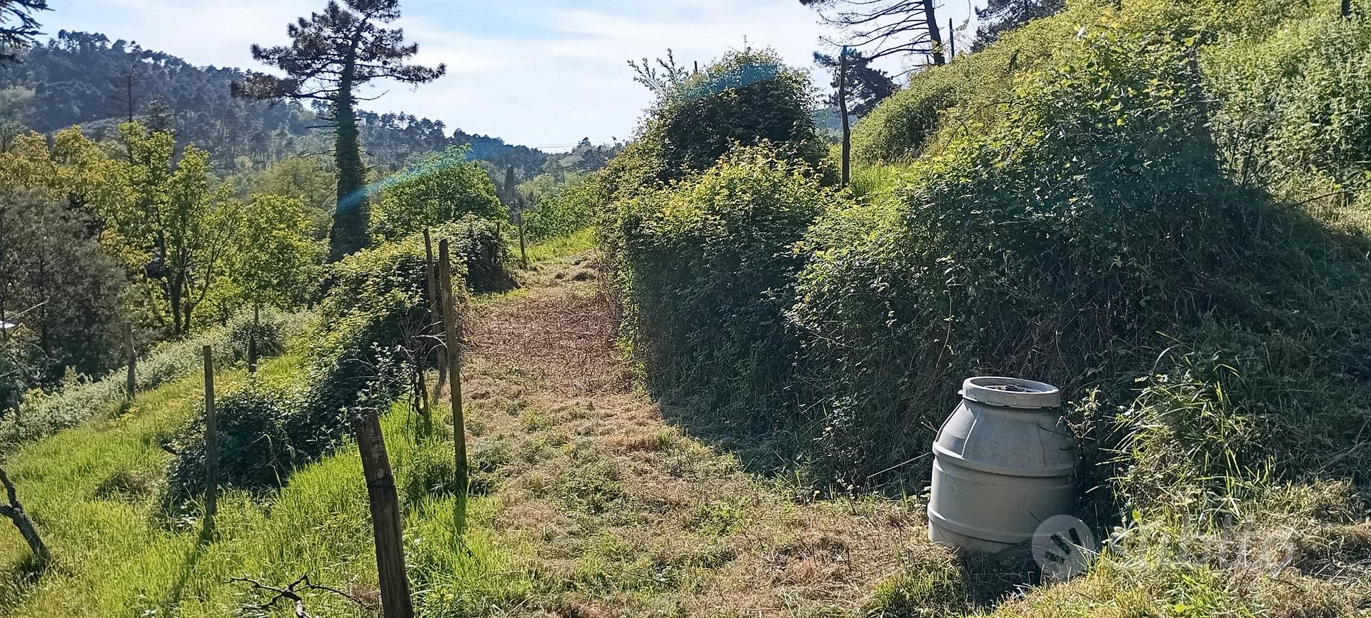 terreno agricolo per fotovoltaico/animali/colti - Vista 2