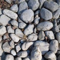Ciottoli neri/grigi da giardino – 1000 kg