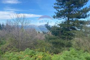 Terreno - Linguaglossa