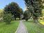 Immagine 12