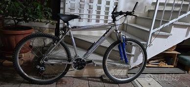 biciclette 