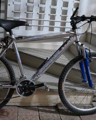 biciclette 