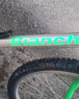 Bici per adulti