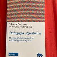 Pedagogia algoritmica