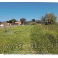 Terreno Agricolo Collesalvetti [A4347473]