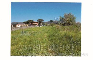 Terreno Agricolo Collesalvetti [A4347473]