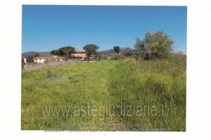 Terreno Agricolo Collesalvetti [A4347473]