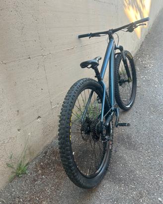 Bicicletta specialized  rockhoopper
