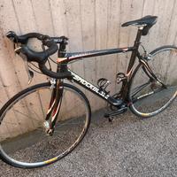 Bucicletta da corsa shockblaze