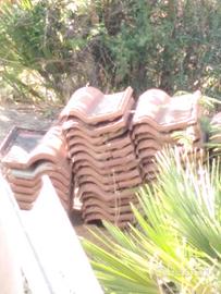 180 Tegole portoghesi