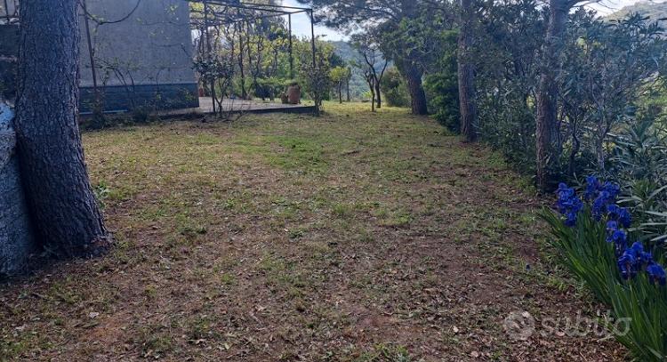 Terreno e fabbricato - Vista 5