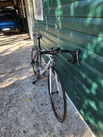 Wilier Triestina