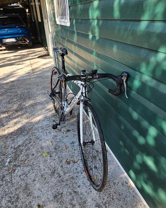 Wilier Triestina