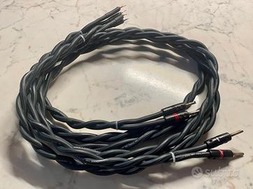 Cavi audio AudioQuest Type 2.1 Cavi di potenza