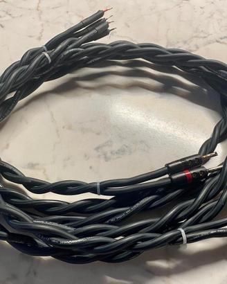 Cavi audio AudioQuest Type 2.1 Cavi di potenza