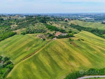 Indipendente a Borghi