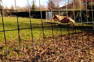 Terreno edificabile in concessione singola