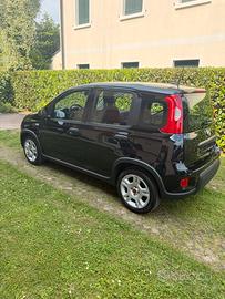 Panda Hybrid 2024