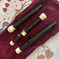 Flauto Traversiere Barocco Stanesby Jr. (415Hz)