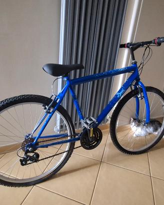 Bici Mtb Baci Perugina