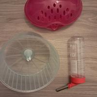 Casetta, ruota e beverino criceto