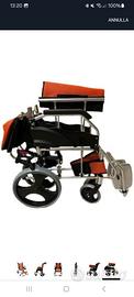 Carrozina invalidi 