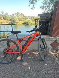MTB 29" taglia L 