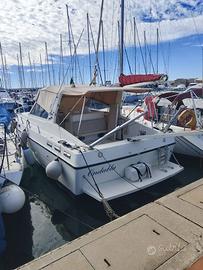 Piantoni Onda Blu