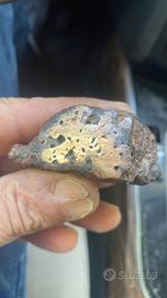 Meteorite
