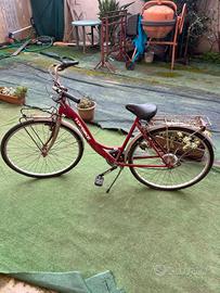 bicicletta 