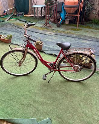 bicicletta 