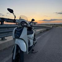 Scarabeo 50