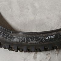 copertone mtb WTB Warden 27.5 da fango