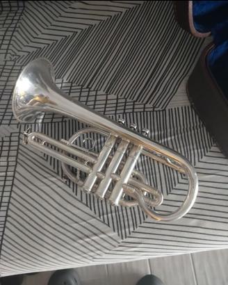 tromba/cornetta in sib e accessori