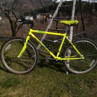 Bicicletta mountain bike