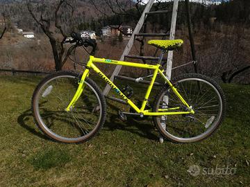 Bicicletta mountain bike