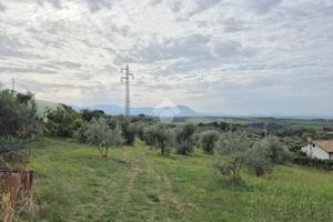 CASA INDIPENDENTE A MONTOPOLI DI SABINA