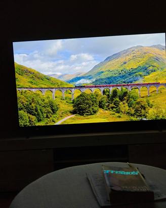 OLED lg 55B42LA