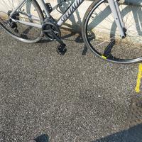 bici specialized