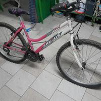 bicicletta Frejus