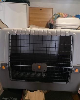 trasportino per cani
