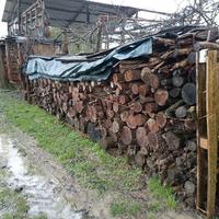 legna da ardere