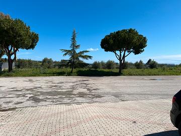 Spazio espositivo da utilizzare