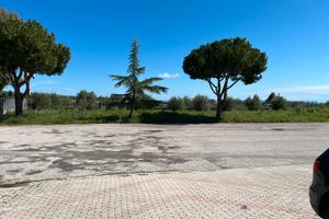 Spazio espositivo da utilizzare