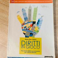 Diritti in gioco  978 88 395 19313