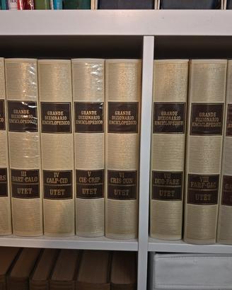 Enciclopedia Completa UTET Grande Dizionario Encic