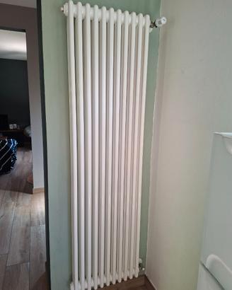 Radiatore Toso tubolare 180